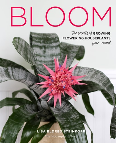 Bloom: The Secrets Of Growing Flowering Houseplants Year-Round
