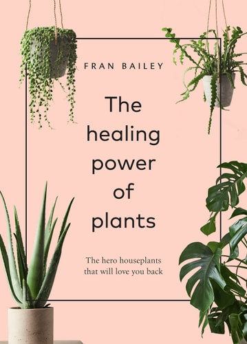 The Healing Power Of Plants: The Hero Houseplants That Will Love You Back