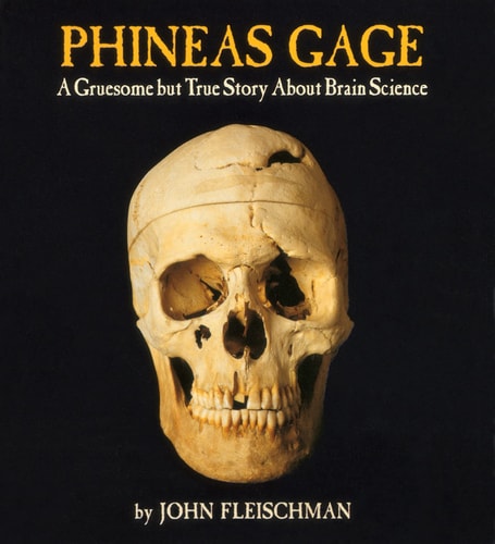 Phineas Gage: A Gruesome But True Story About Brain Science