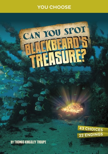 Can You Spot Blackbeard'S Treasure?: An Interactive Treasure Adventure (You Choose: Treasure Hunters)