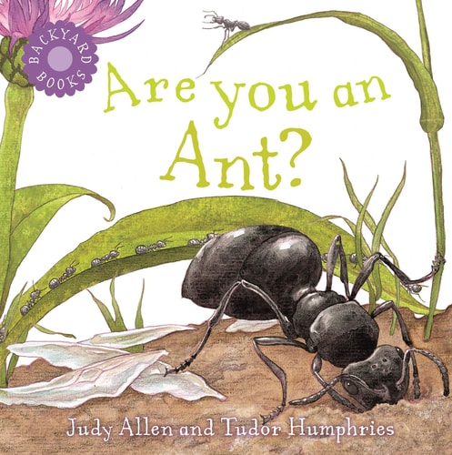 Are You An Ant? (Backyard Books)