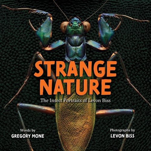 Strange Nature: The Insect Portraits Of Levon Biss