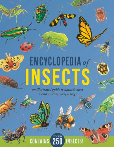 Encyclopedia Of Insects: An Illustrated Guide To Nature'S Most Weird And Wonderful Bugs - Contains Over 250 Insects!