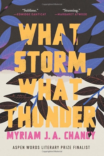 What Storm, What Thunder