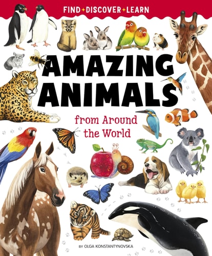 Big Book Of Amazing Animals (Find, Discover, Learn)