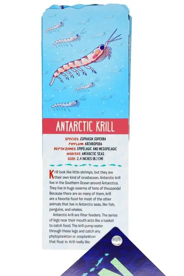 Fandex Kids: Ocean: Facts That Fit In Your Hand: 49 Sea Creatures Inside!